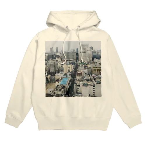 プールが見える Hoodie