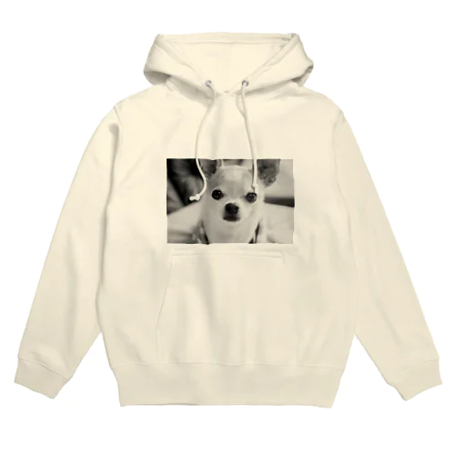 モノクロチワワ（おすまし） Hoodie