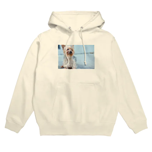 Hana Hoodie