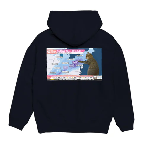 にゃんこWeather Report Hoodie