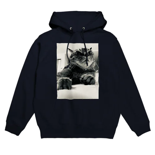 しんやねこ Hoodie