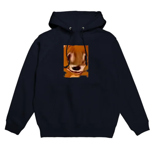 mad_jerry Hoodie