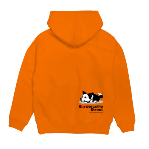 BCS-ABw1 Hoodie