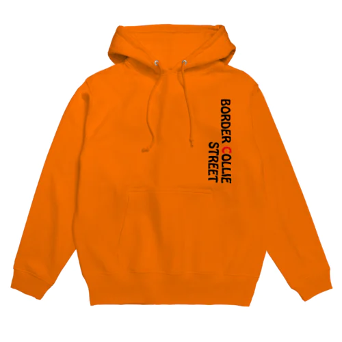 BCS-1 Hoodie