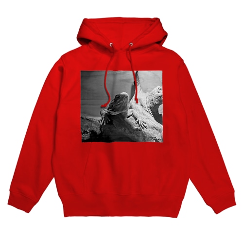 華丸 Hoodie