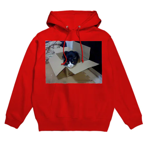 りんごさん、箱大好き！１ Hoodie