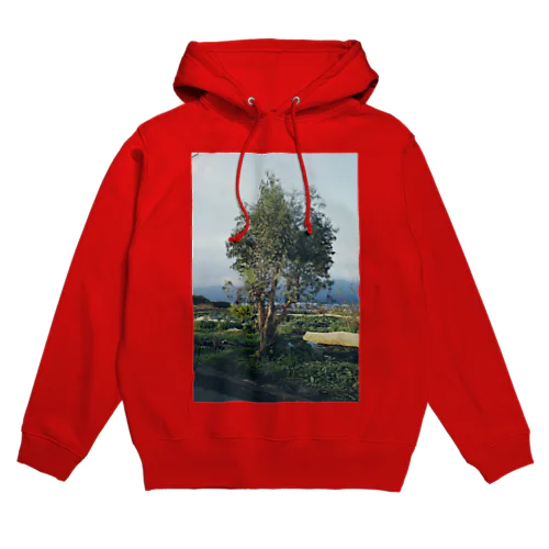 fig. 001 Hoodie