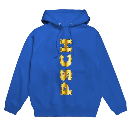 【PSCH】ゴールドメタル Hoodie