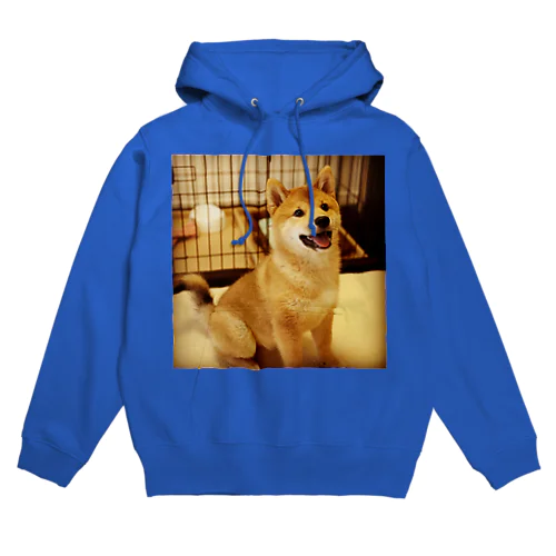 犬だよ〜 Hoodie