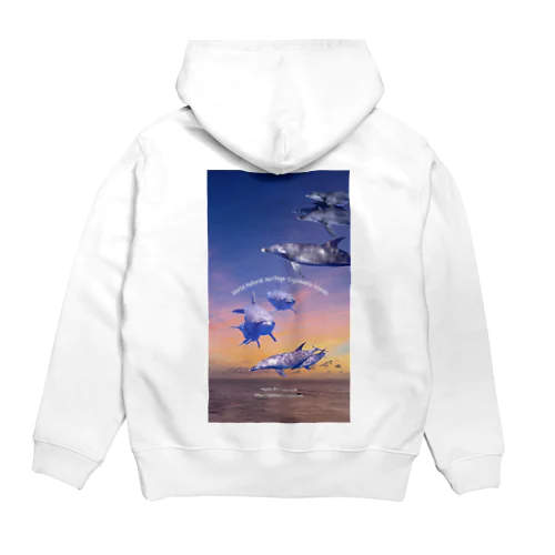 サンセット ドルフィンズ Hoodie