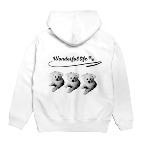 wonderful dog Hoodie