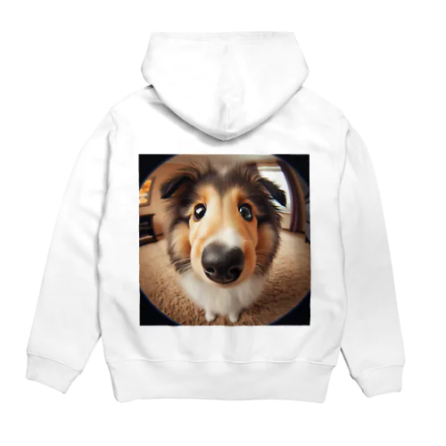 collie Hoodie