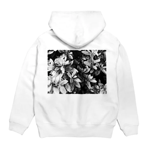 撮ったやーつ Hoodie