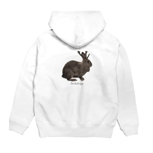 【背面】未確認動物 Hoodie