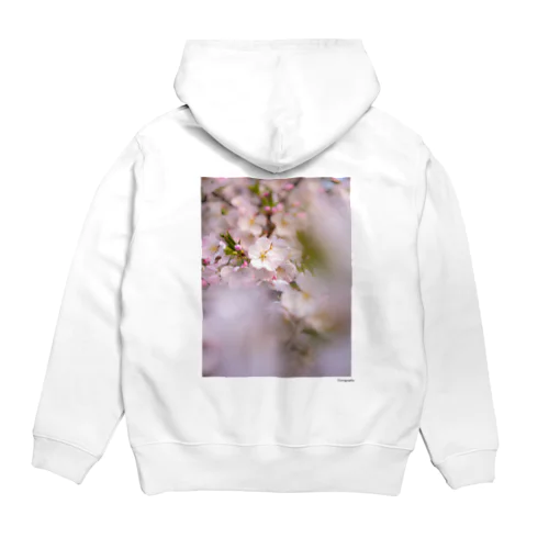 SAKURA 2 Hoodie