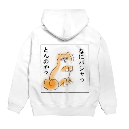 なにパシャっとんのや Hoodie