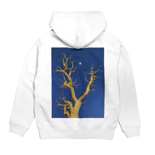 DAIKANYAMA Hoodie