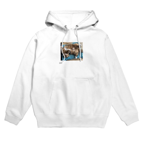 もふ腹ねこ Hoodie
