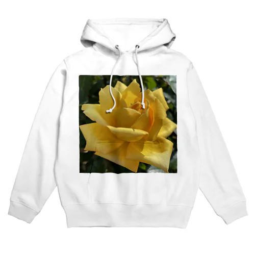 黄色い薔薇 Hoodie