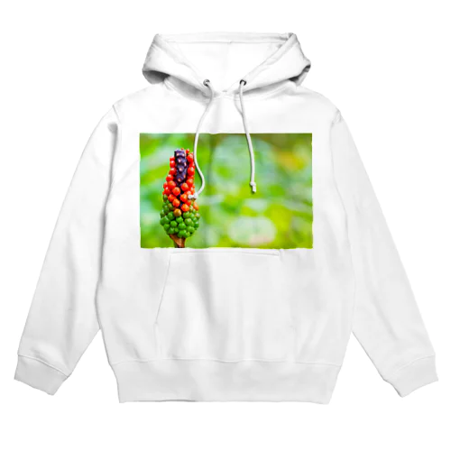 富士山のマムシグサ Hoodie