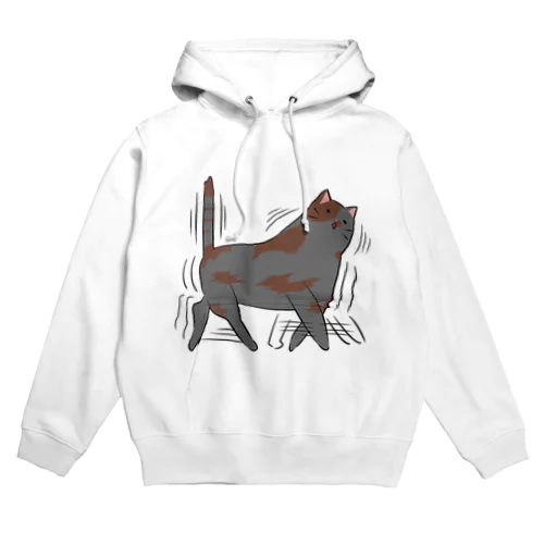 荒ぶるﾈｺﾁｬﾝ Hoodie