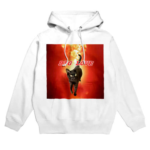 ぬこ𝔹𝕀𝔾 𝕃𝕠𝕧𝕖 Hoodie