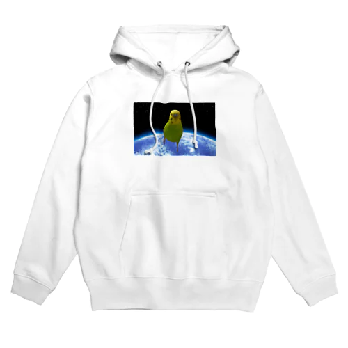 迫るインコ Hoodie