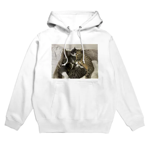 mtc Hoodie