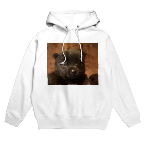 甲斐犬　 Hoodie