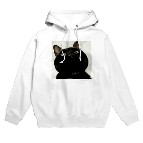 上から舞茸 Hoodie