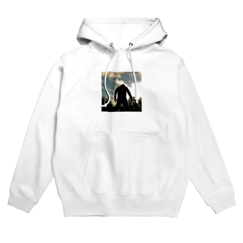 FIRST TRY Hoodie