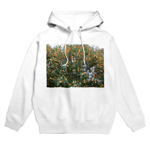 光景　sight740　キンモクセイ　金木犀　花 FLOWERS　壁紙 Hoodie