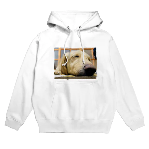 ミニチュアダックスフンド(マック) Hoodie