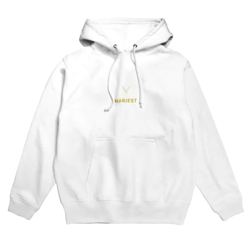 HARIEST  ハリエスト Hoodie