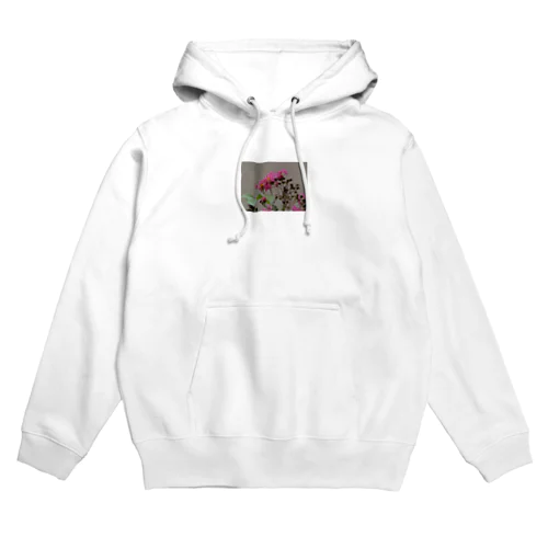 一眼レフで撮ったオリジナルのフォトグラフ Hoodie