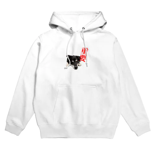 いぬくんver2 Hoodie