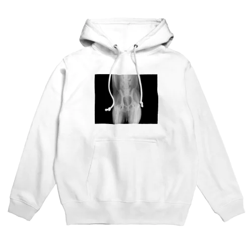 犬の股関節 Hoodie