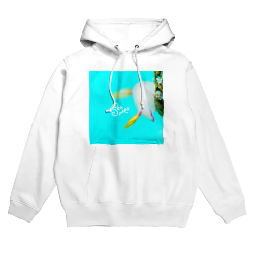 ゾウゲイロウミウシ Hoodie