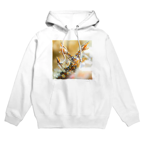 ヒオドシユビウミウシ Hoodie