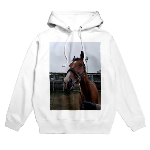 ショウナンマッシブ2022-3 Hoodie