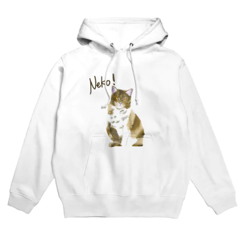 近所のノラ猫のおうじ Hoodie