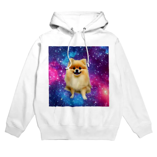 COSMOS Hoodie