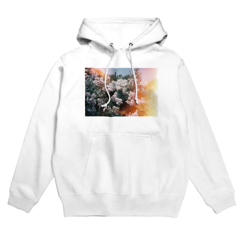 レトロな薔薇2 Hoodie