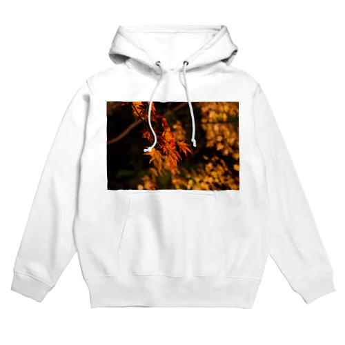 ライトアップ紅葉 - Japanese maple(night shot) - Hoodie