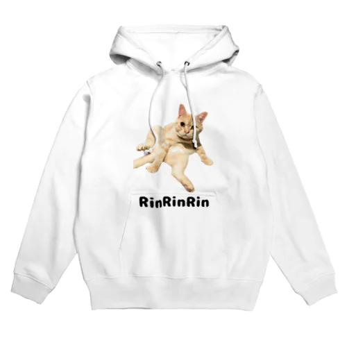 毛づくろい中の猫ちゃん Hoodie