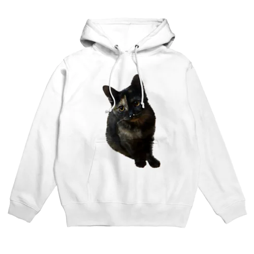 サビ猫くう Hoodie