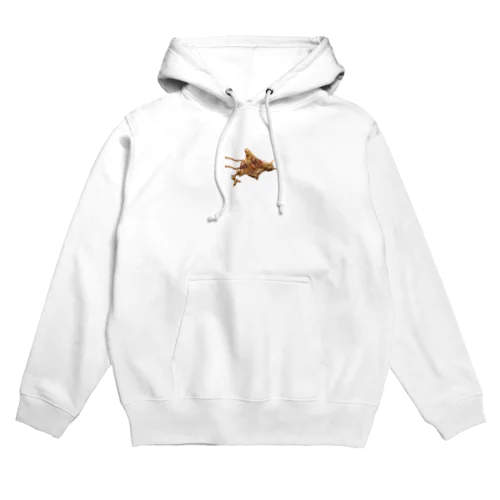 ZANGI ✕ HOKKAIDO？ Hoodie