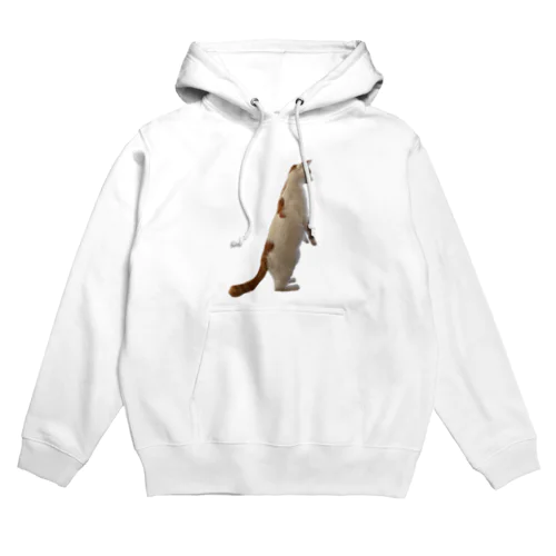 スタンディングきびだんご Hoodie