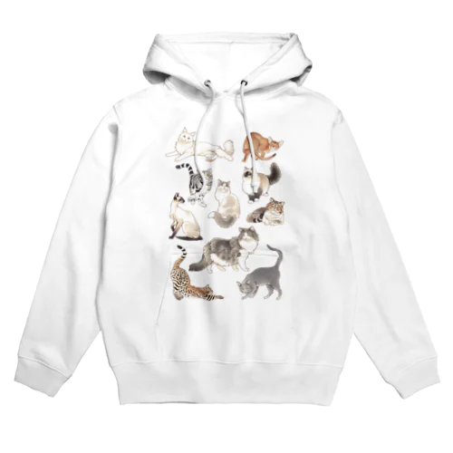 CATS Hoodie