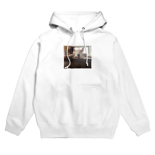 ブルテリアのにきぶう Hoodie